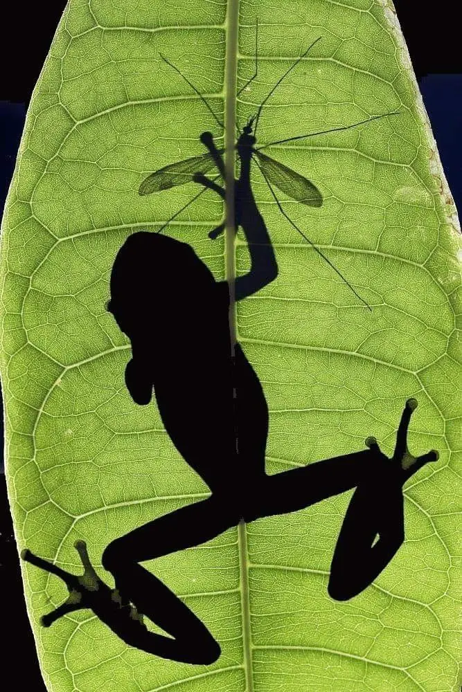 НЕУКАЗАНО, НАЗВАНИЕ ДЕЙСТВИЯ ДЛЯ МЕРОПРИЯТИЯ