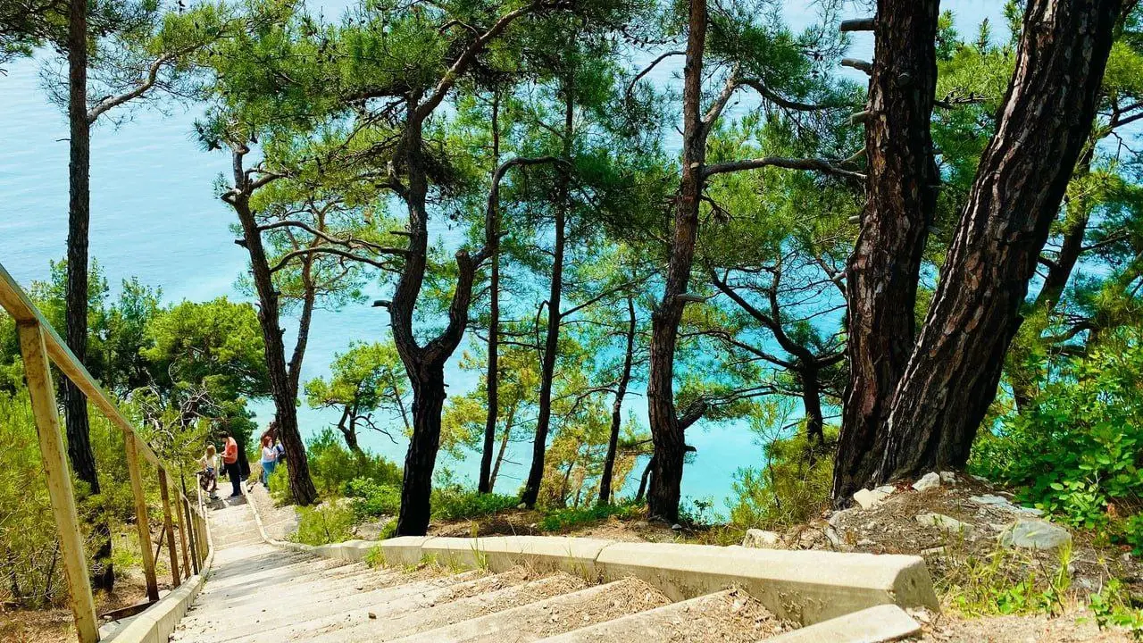 Спуск к морю 278 ступеней Геленджик