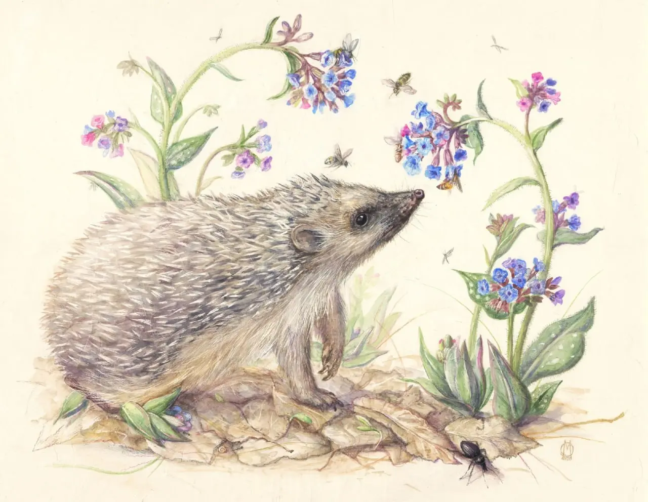 Исчезающая красота России