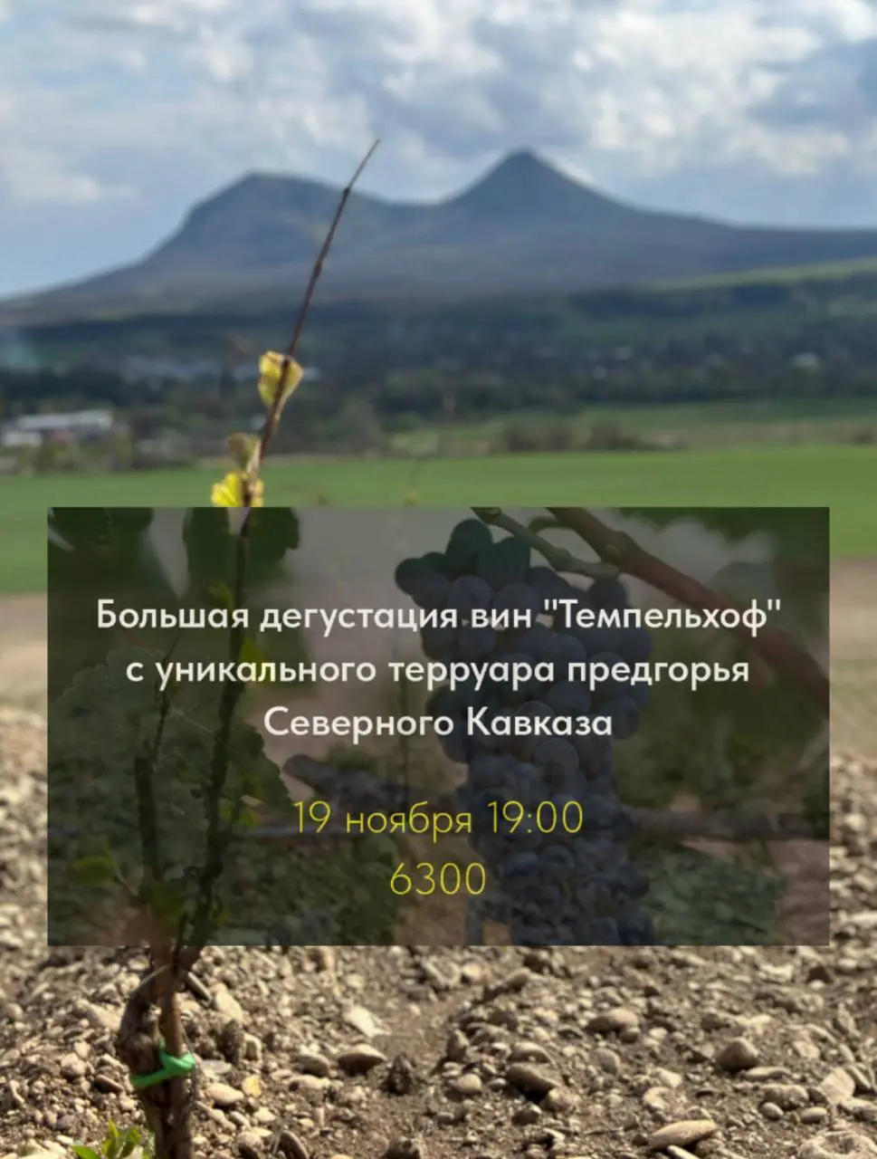 Большая дегустация вин Темпельхоф