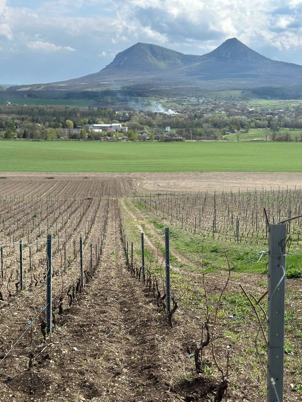 Большая дегустация вин Темпельхоф