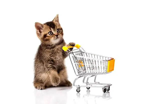 World Shopping Day, Нижний Новгород