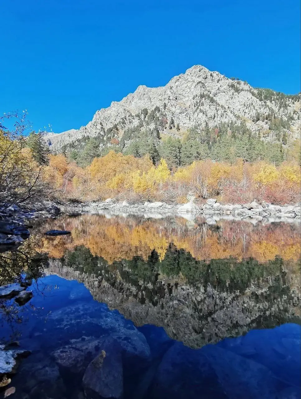 Золотая осень в горах Домбая, полная перезагрузка