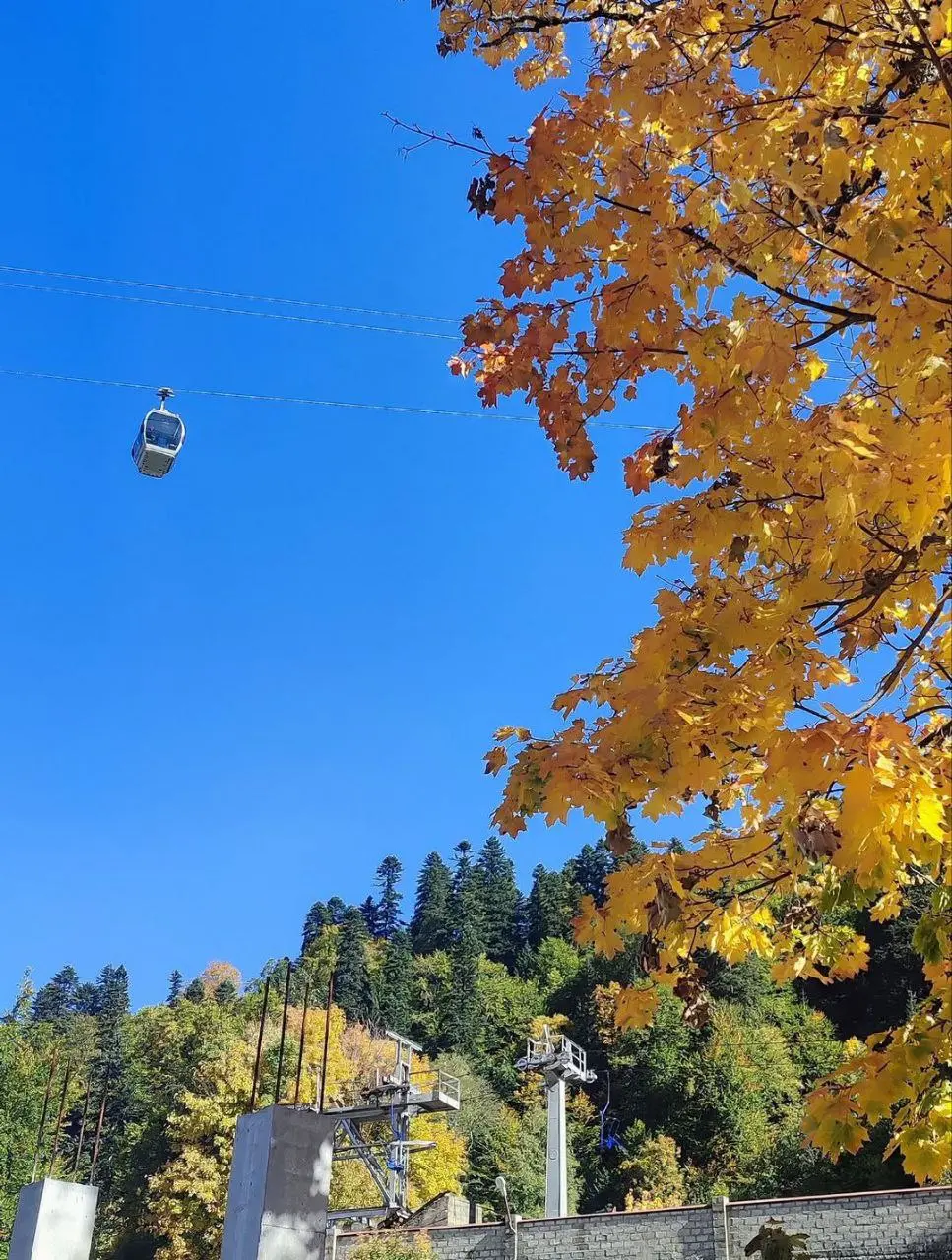 Золотая осень в горах Домбая, полная перезагрузка