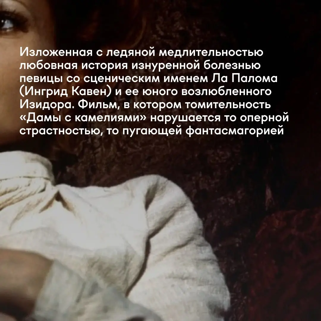 Международный кинофорум «Послание к человеку» и киноклуб «Доколе»