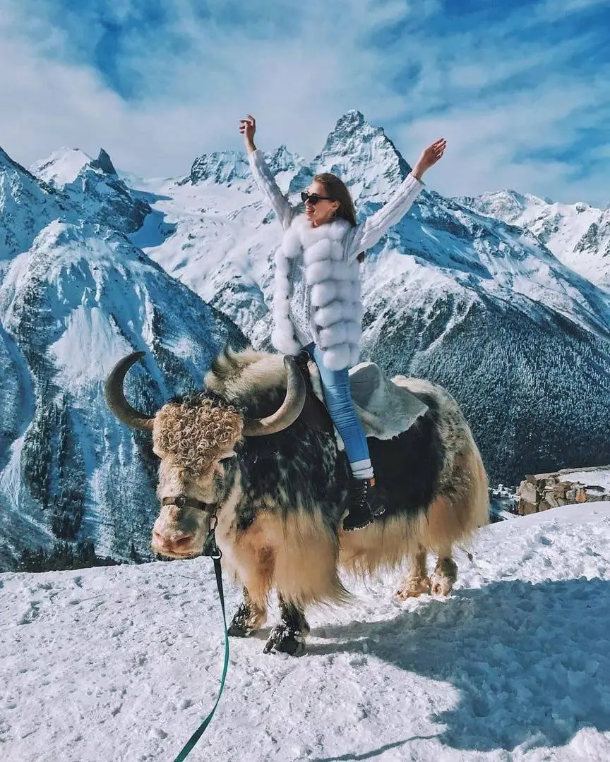 Зимние йога-туры в горы: Эльбрус и Домбай | февраль 2026