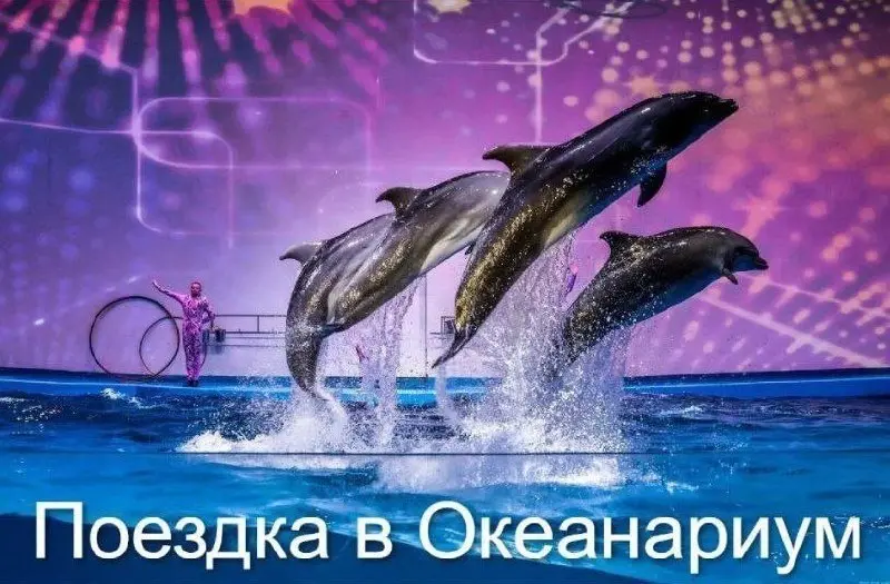 Туристическое агентство Спасск Тур приглашает в Океанариум и Дельфинарий на острове Русском