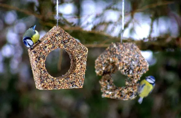 Экологический праздник Синичкин День