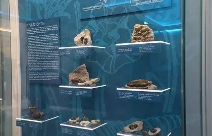 Выставка "Обитатели древних морей"