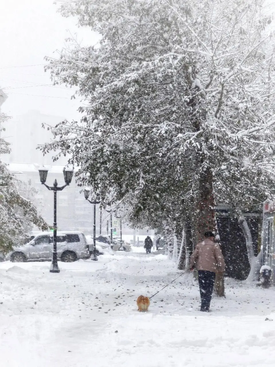 Заснеженные улицы Новосибирска