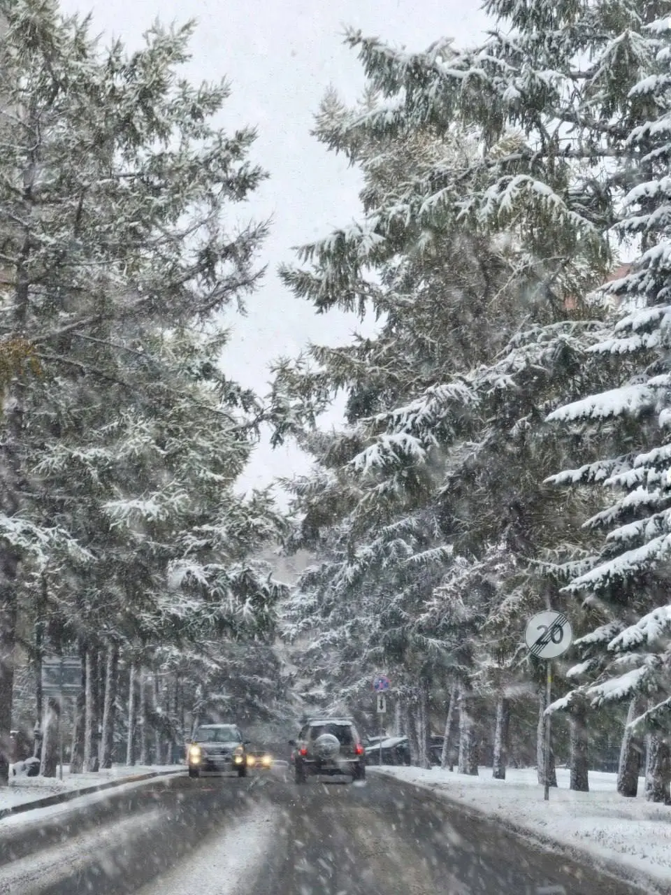 Заснеженные улицы Новосибирска