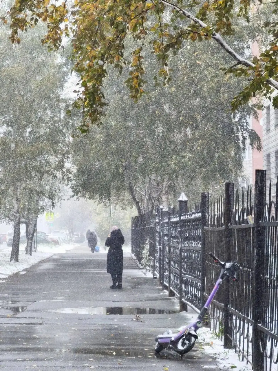 Заснеженные улицы Новосибирска