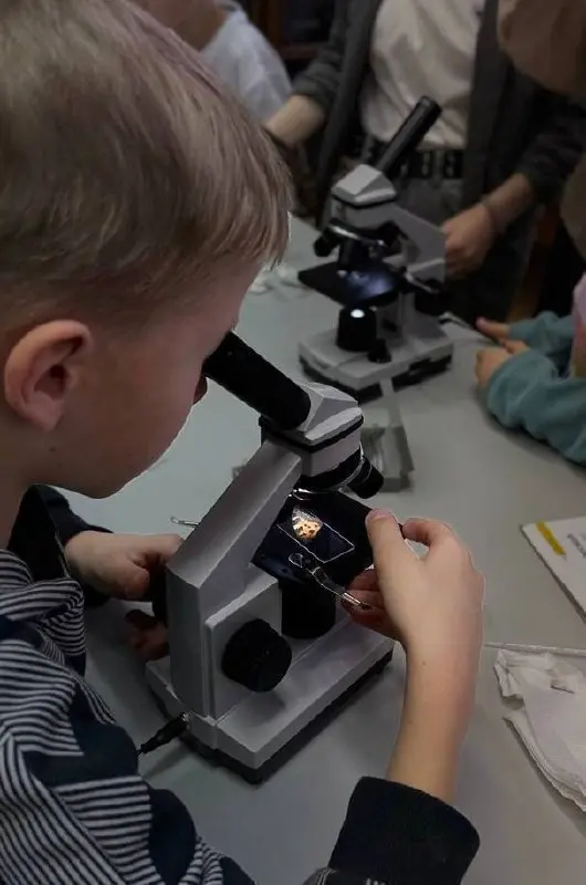 Детские занятия в Музеях КФУ на этой неделе