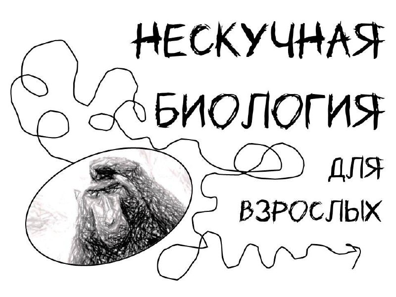 Новая лекция из цикла «Нескучная биология»