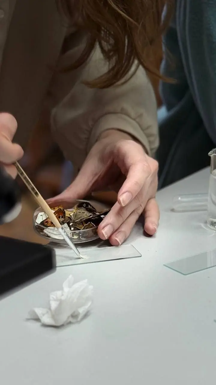 Детские занятия в Музеях КФУ на этой неделе