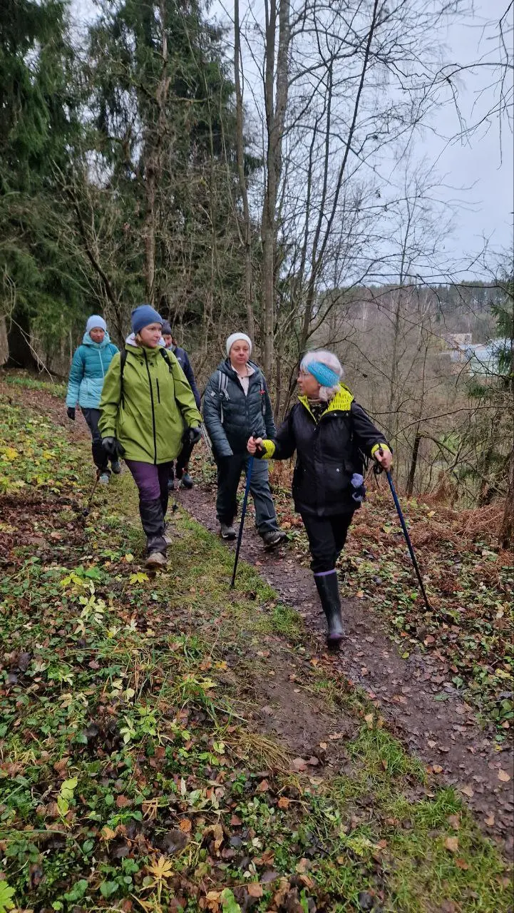 семейный хайкинг по маршруту Соколиная гора