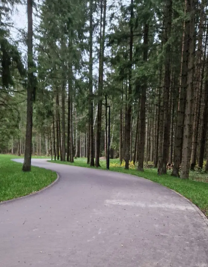 семейный хайкинг по маршруту Соколиная гора