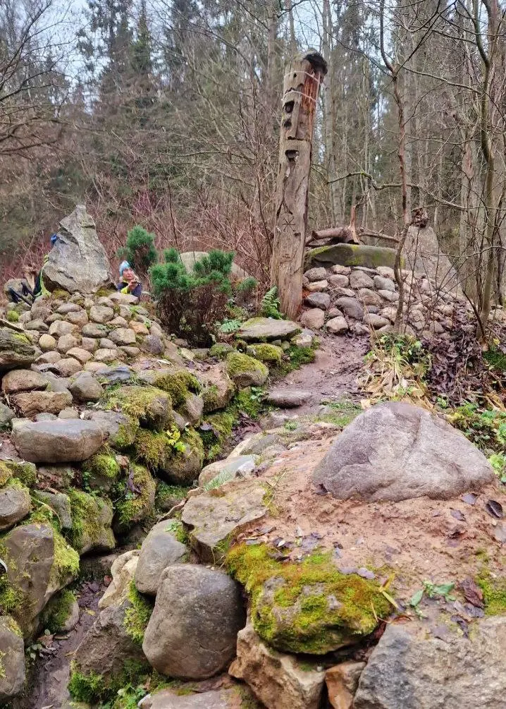 семейный хайкинг по маршруту Соколиная гора