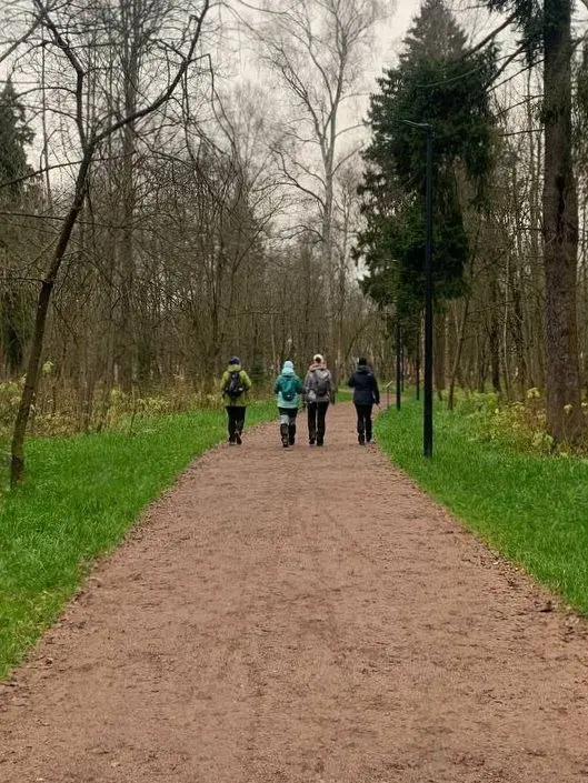 семейный хайкинг по маршруту Соколиная гора