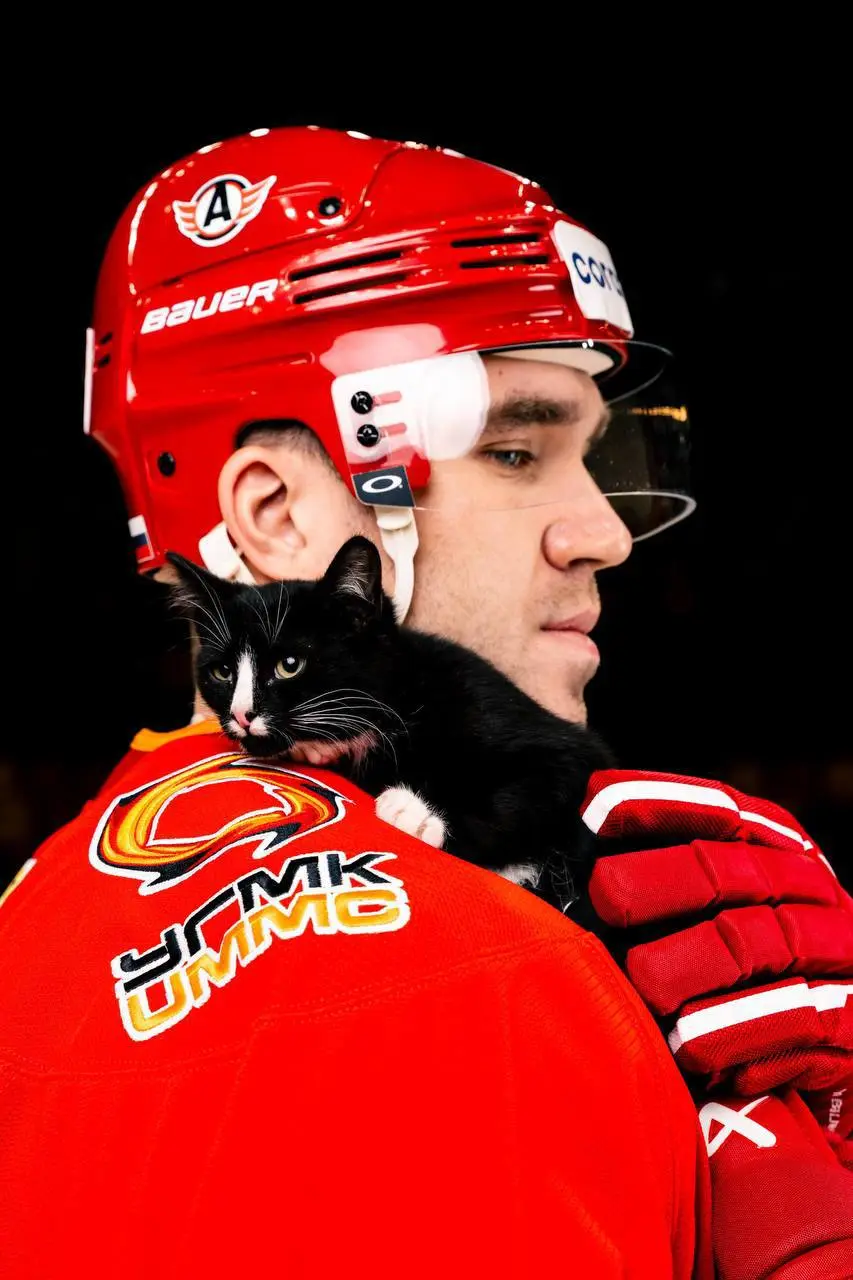 Милота дня: «Автомобилист» посвятит хоккейный матч помощи бездомным животным