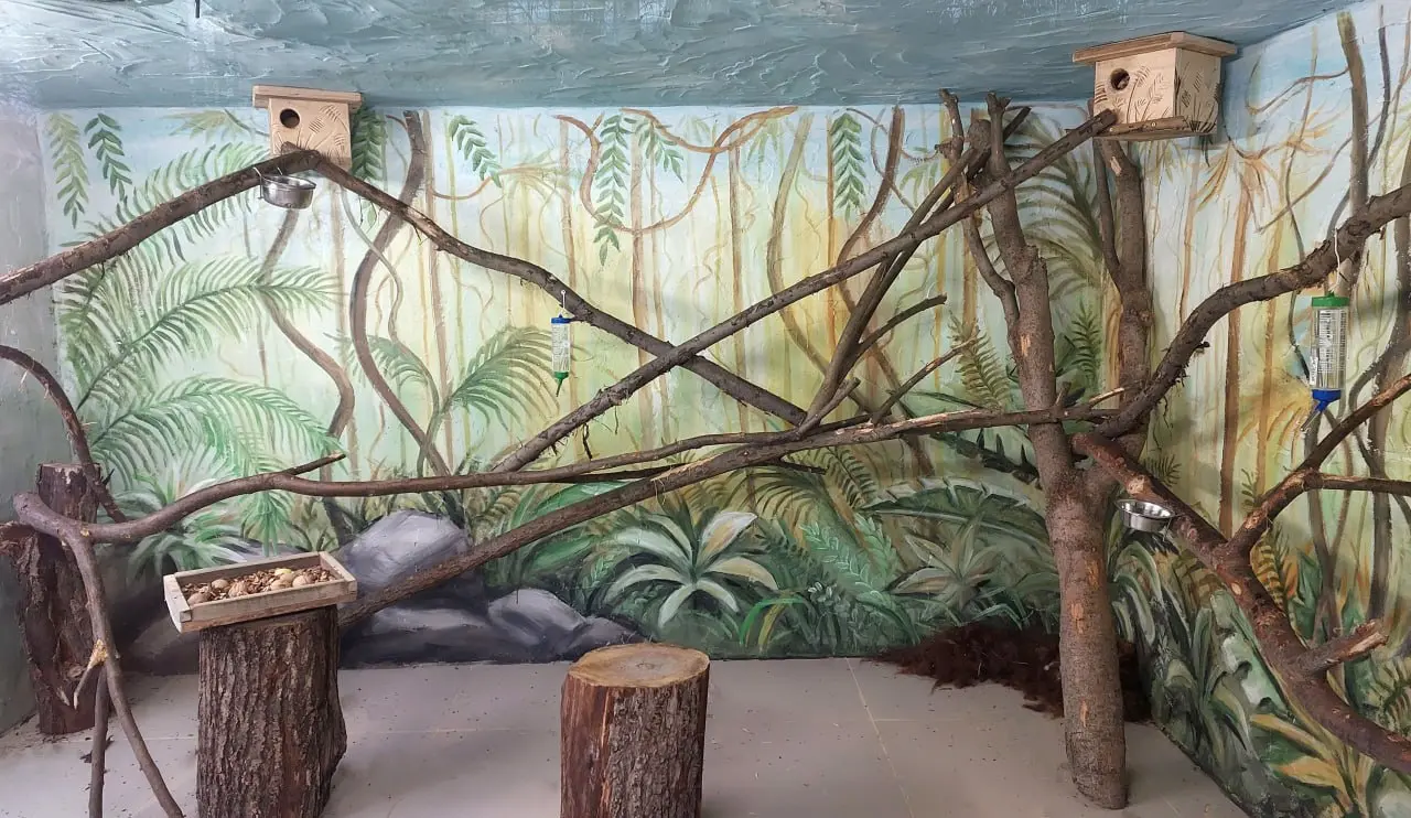 Новоселье в «Лимпопо»