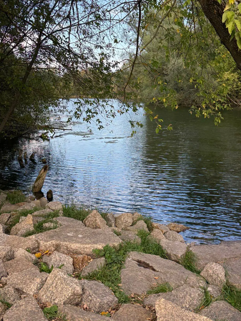 Синичкин день на Малых Голубых озёрах