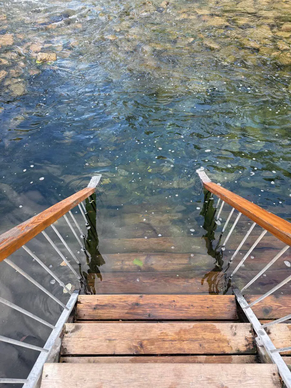 Синичкин день на Малых Голубых озёрах