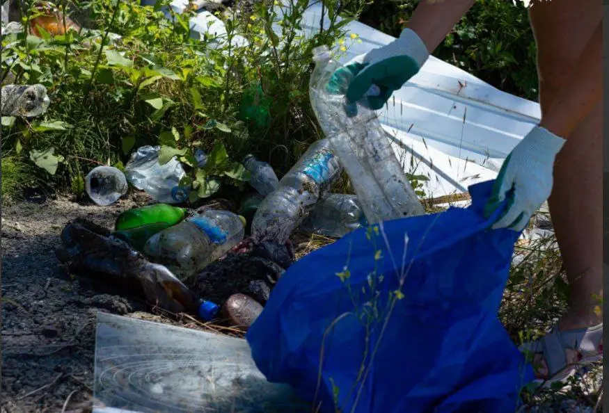 совместная уборка на берегу Кубани в Новом городе