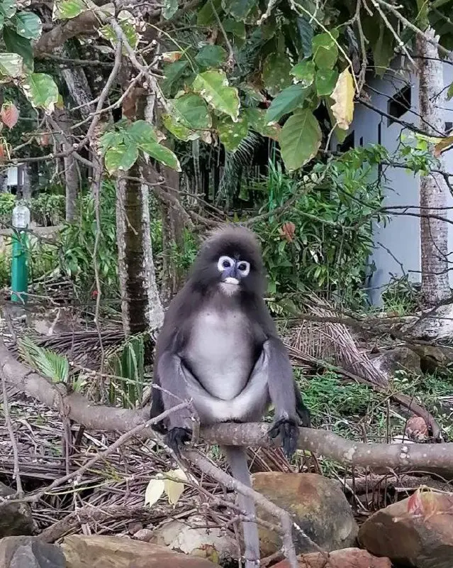 Летим на БОРНЕО