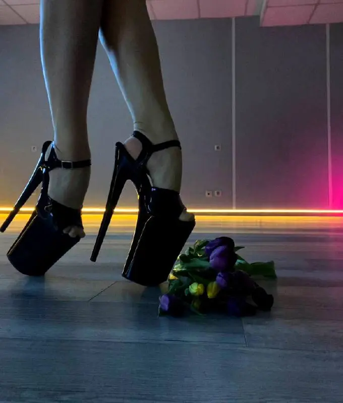 ТРЕНИРОВКИ ПО ЗАПИСИ