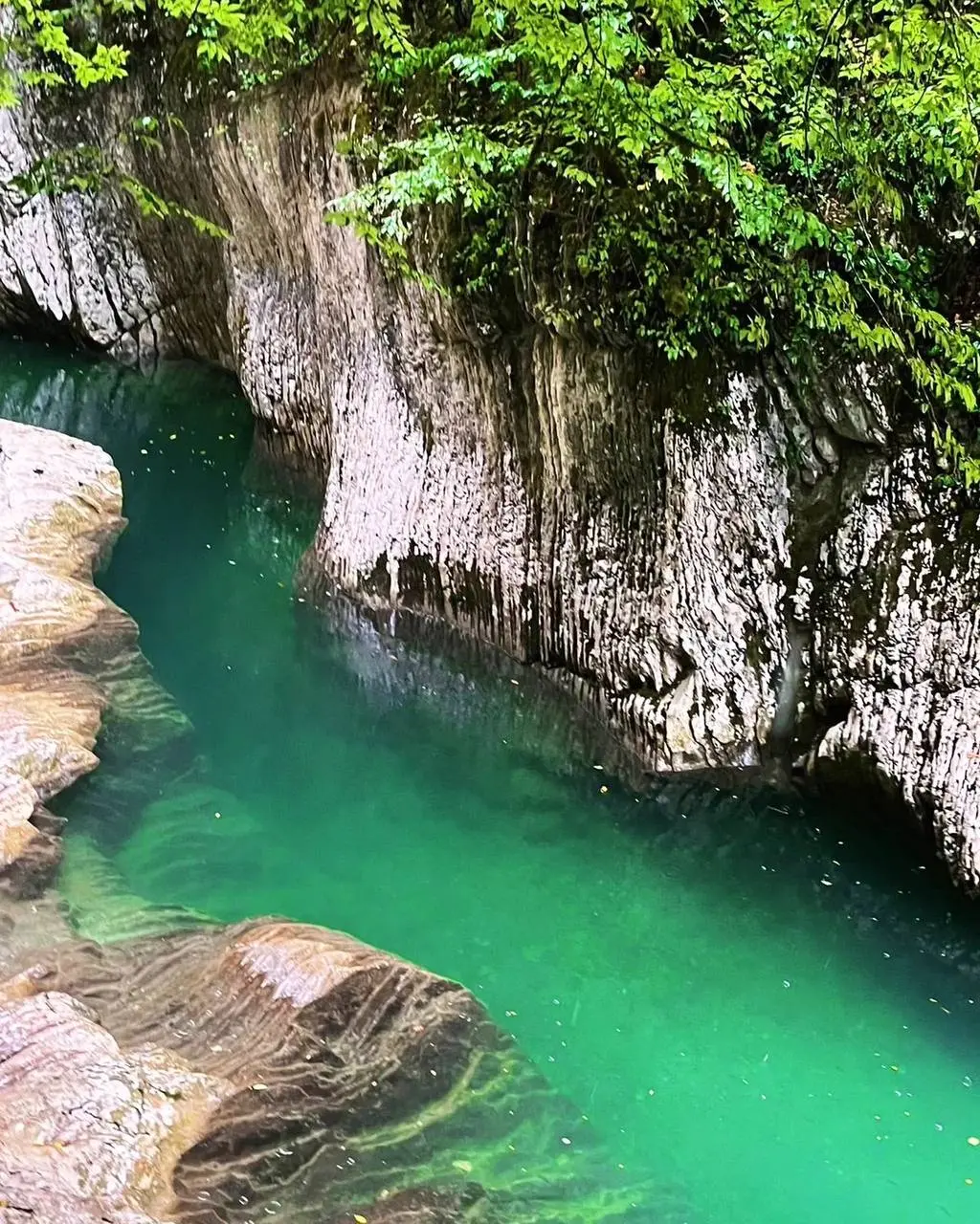Многоликий Сочи: главное за один день