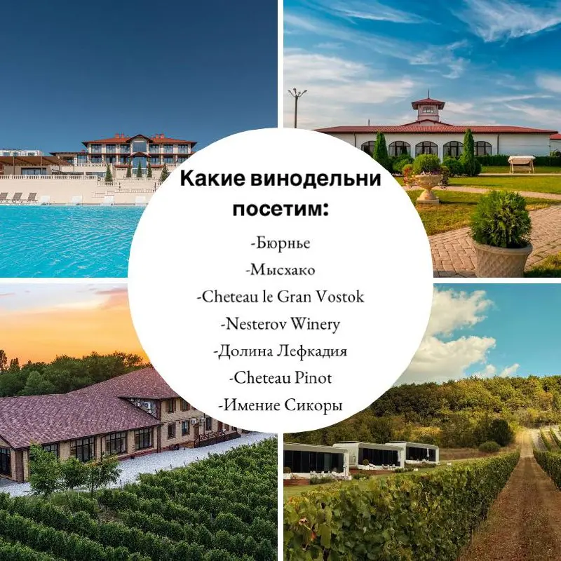 Анонс винного тура в Краснодарский Край