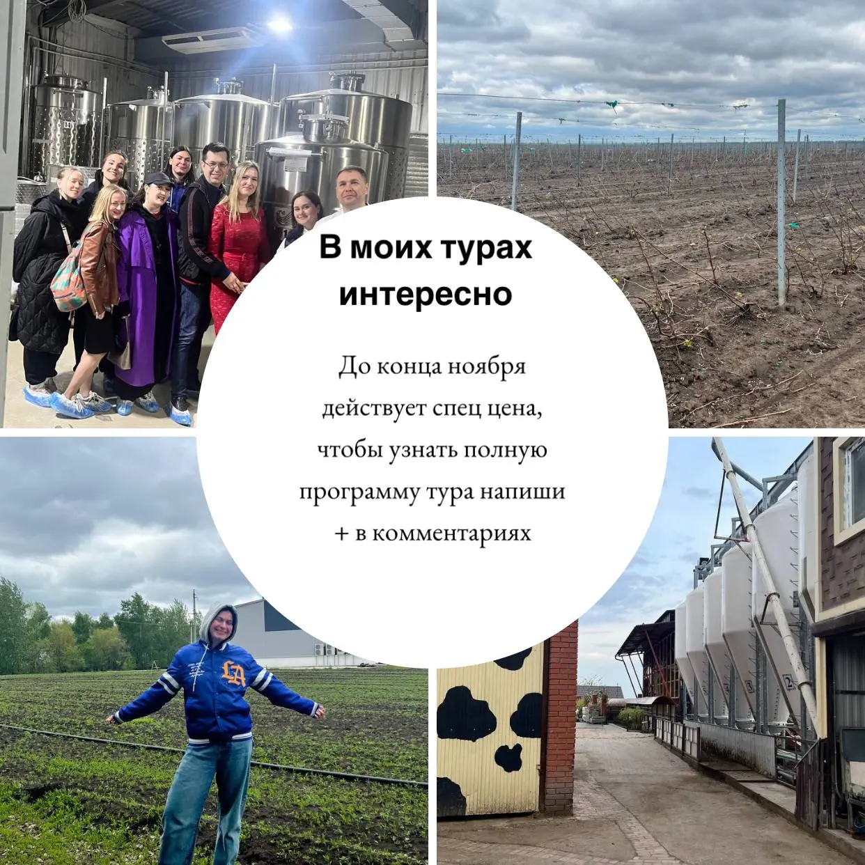 Анонс винного тура в Краснодарский Край