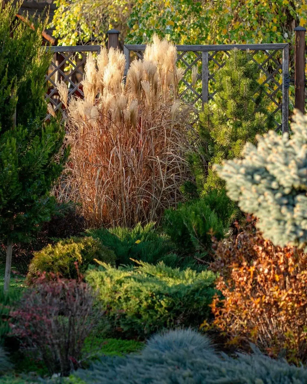 Яркие краски осени в парке Лога