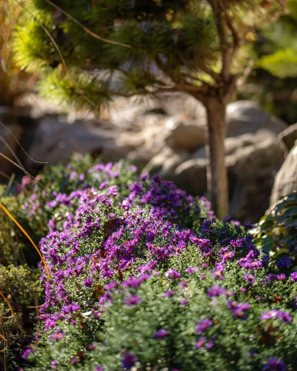 Яркие краски осени в парке Лога