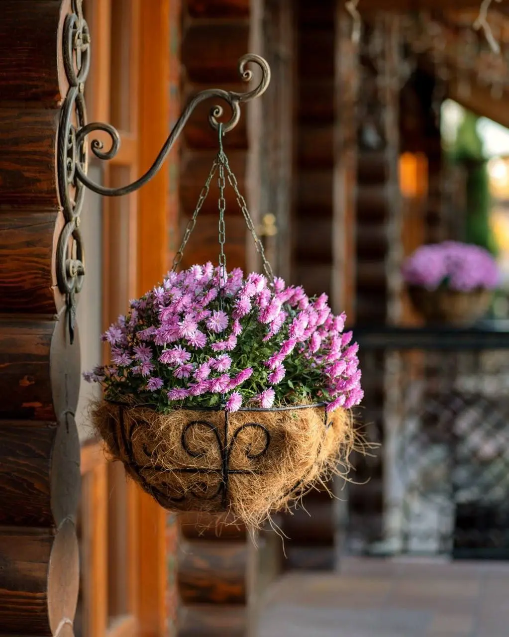 Яркие краски осени в парке Лога