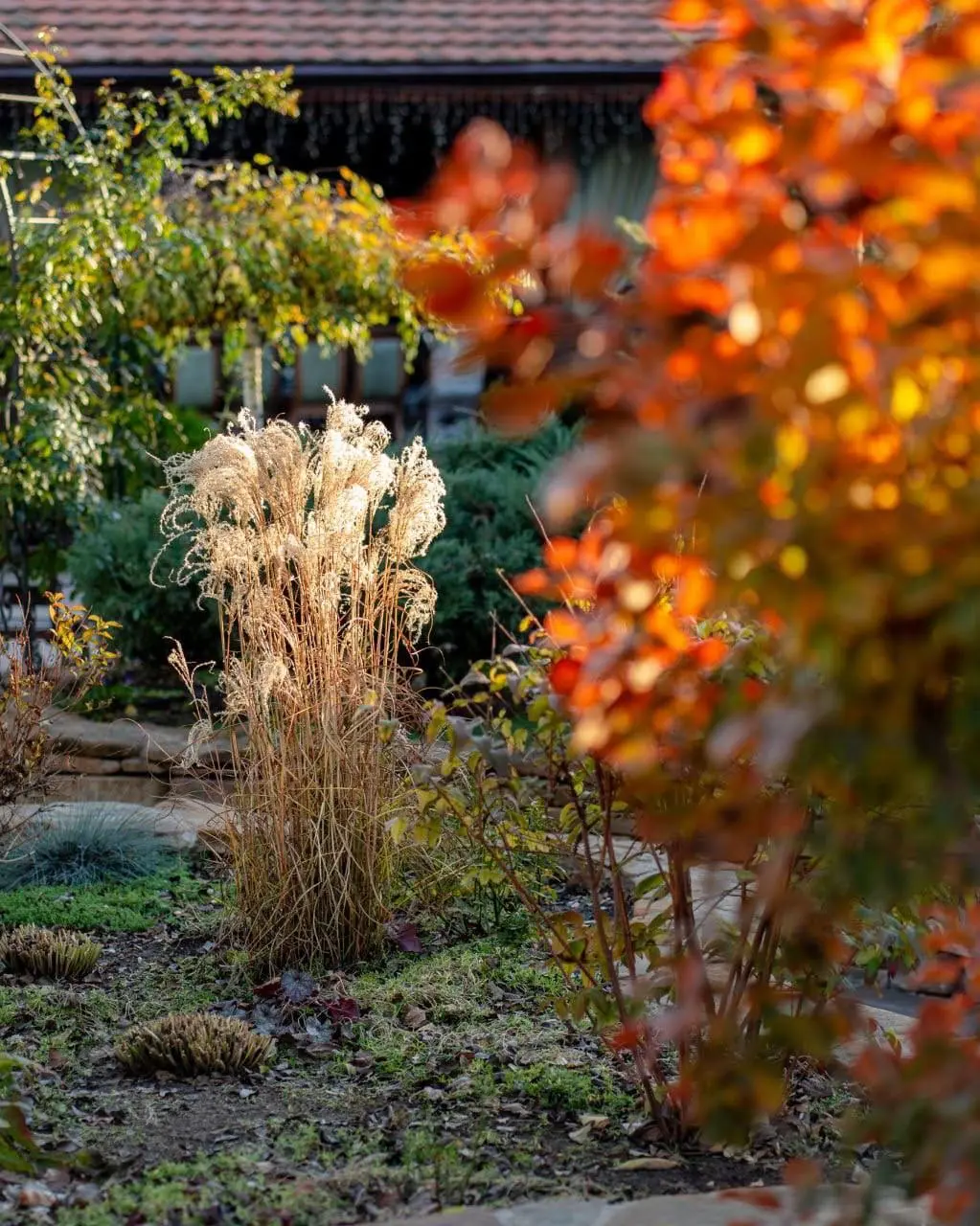Яркие краски осени в парке Лога