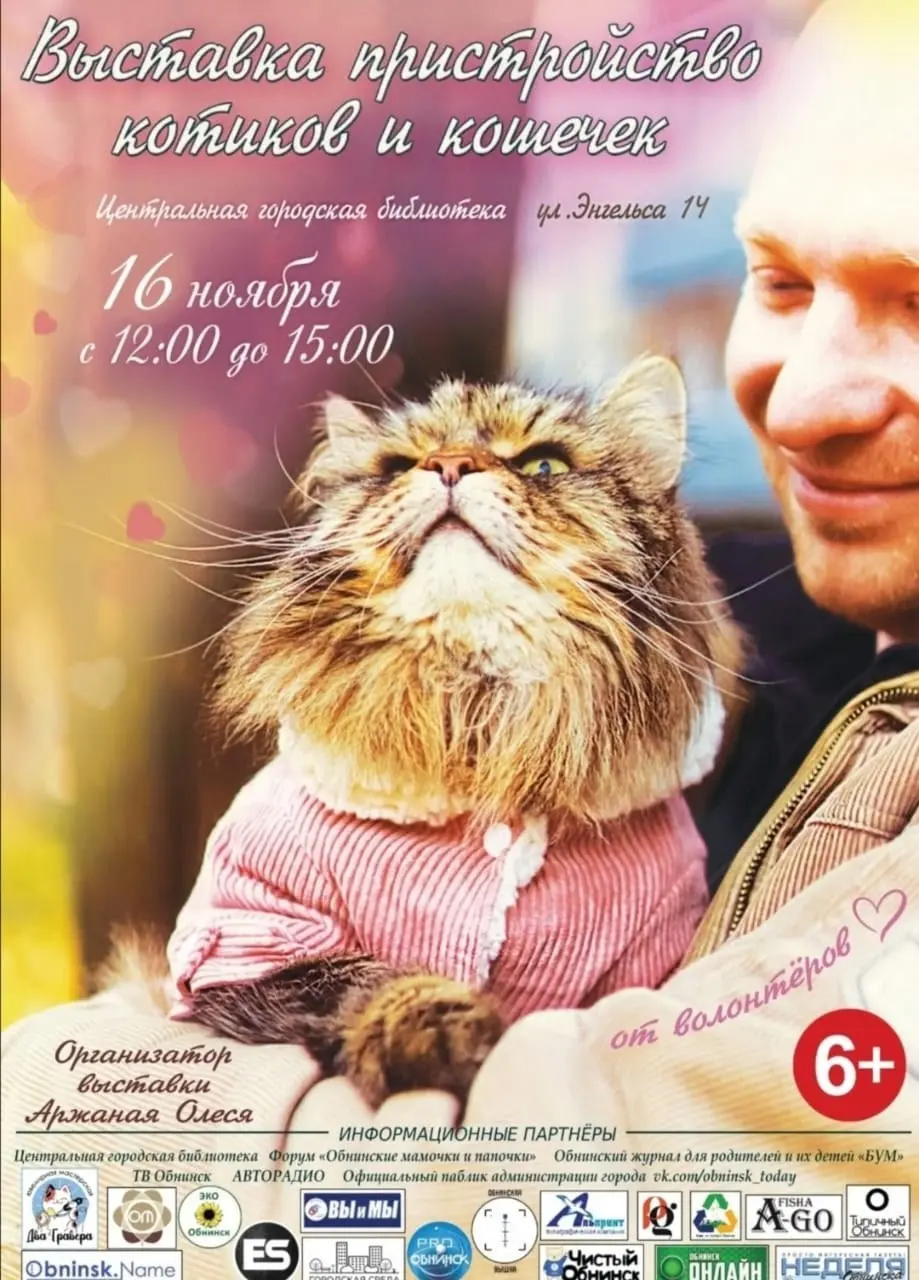 Выставка-пристройство кошек и котят от волонтёров