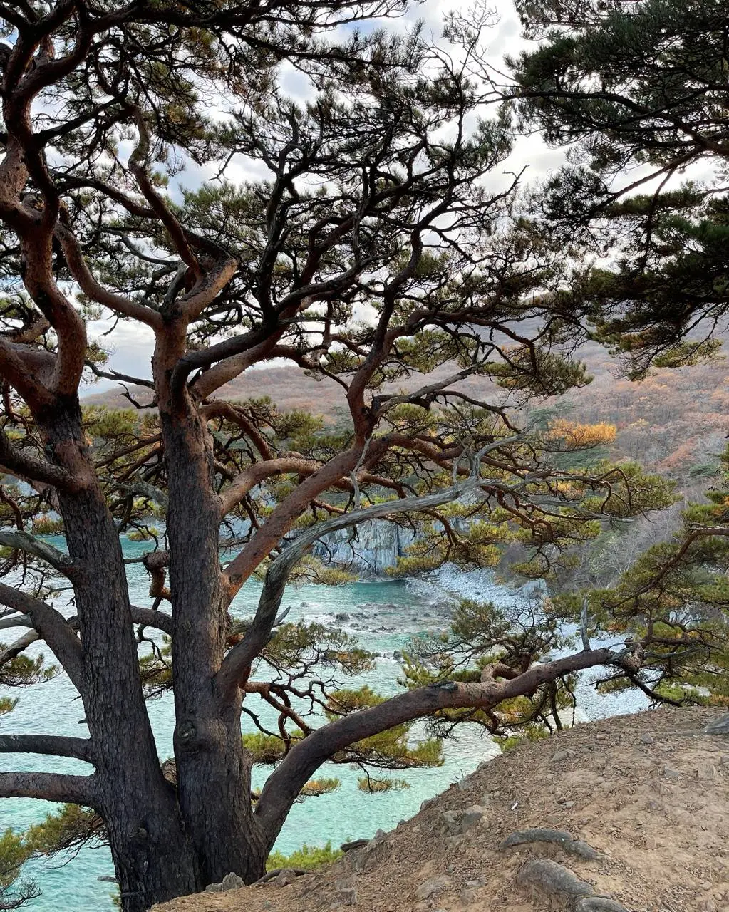 Джип-тур на полуостров Гамова