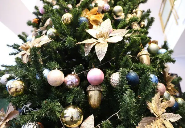 мероприятие: Интермедия «Три подарка для Снегурочки» и спектакль «По щучьему велению»