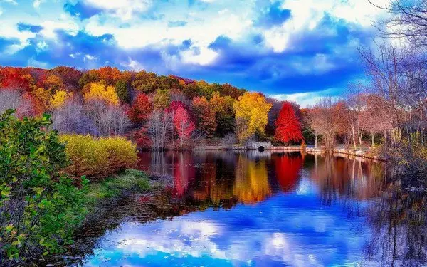 Краски осени