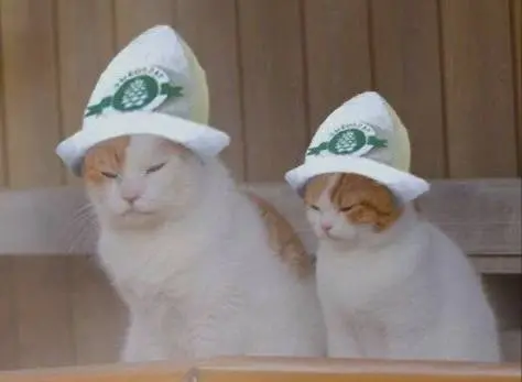 БАНЯ ПРИМУС ЗОВЕТ В ГОСТИ!