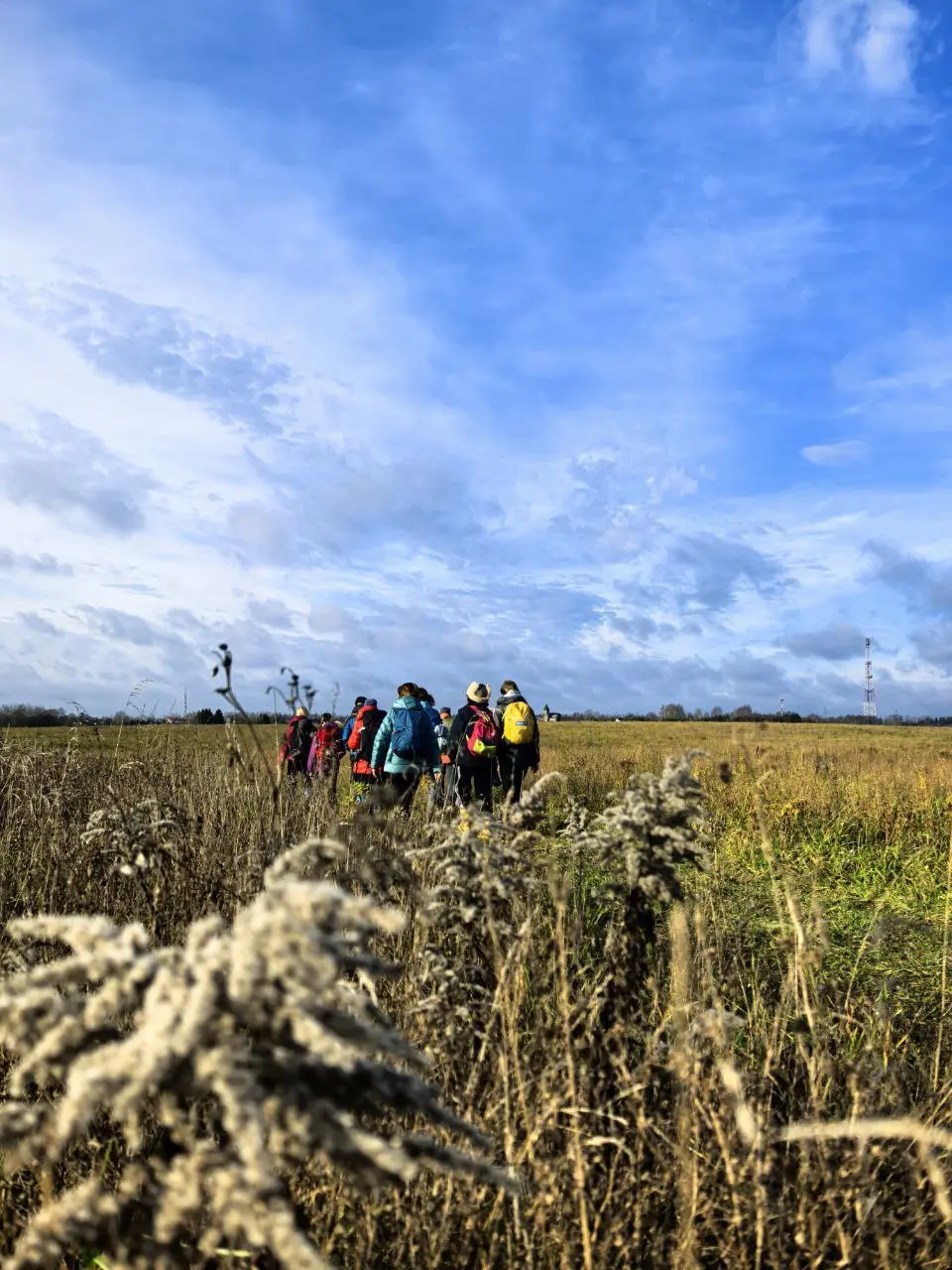 СЫРНОЙ ПОХОД
