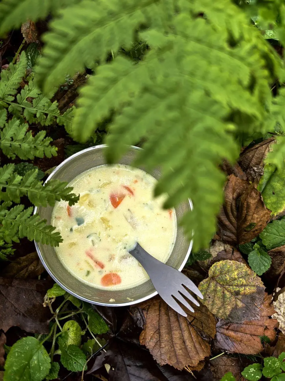 СЫРНОЙ ПОХОД