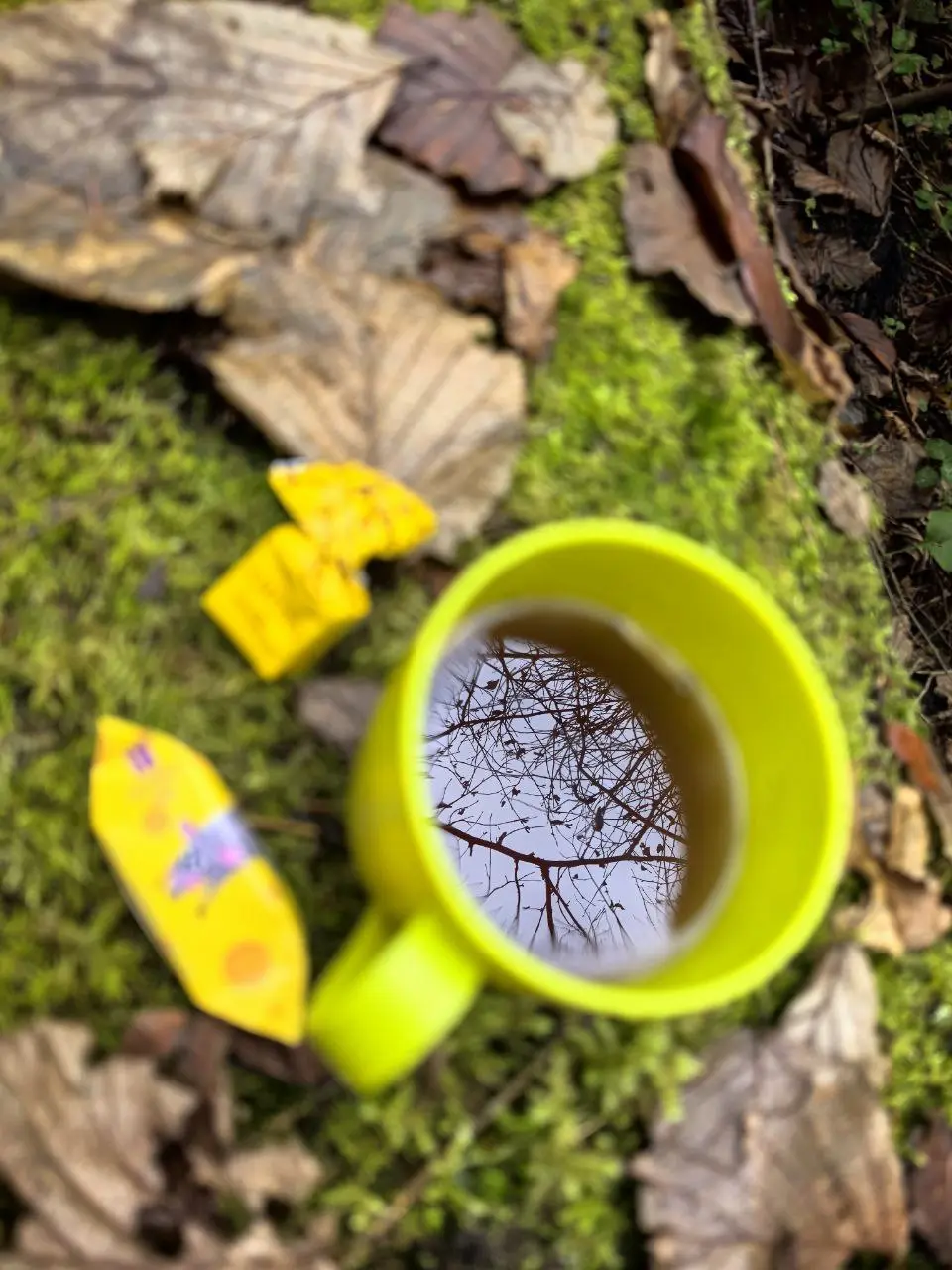 СЫРНОЙ ПОХОД