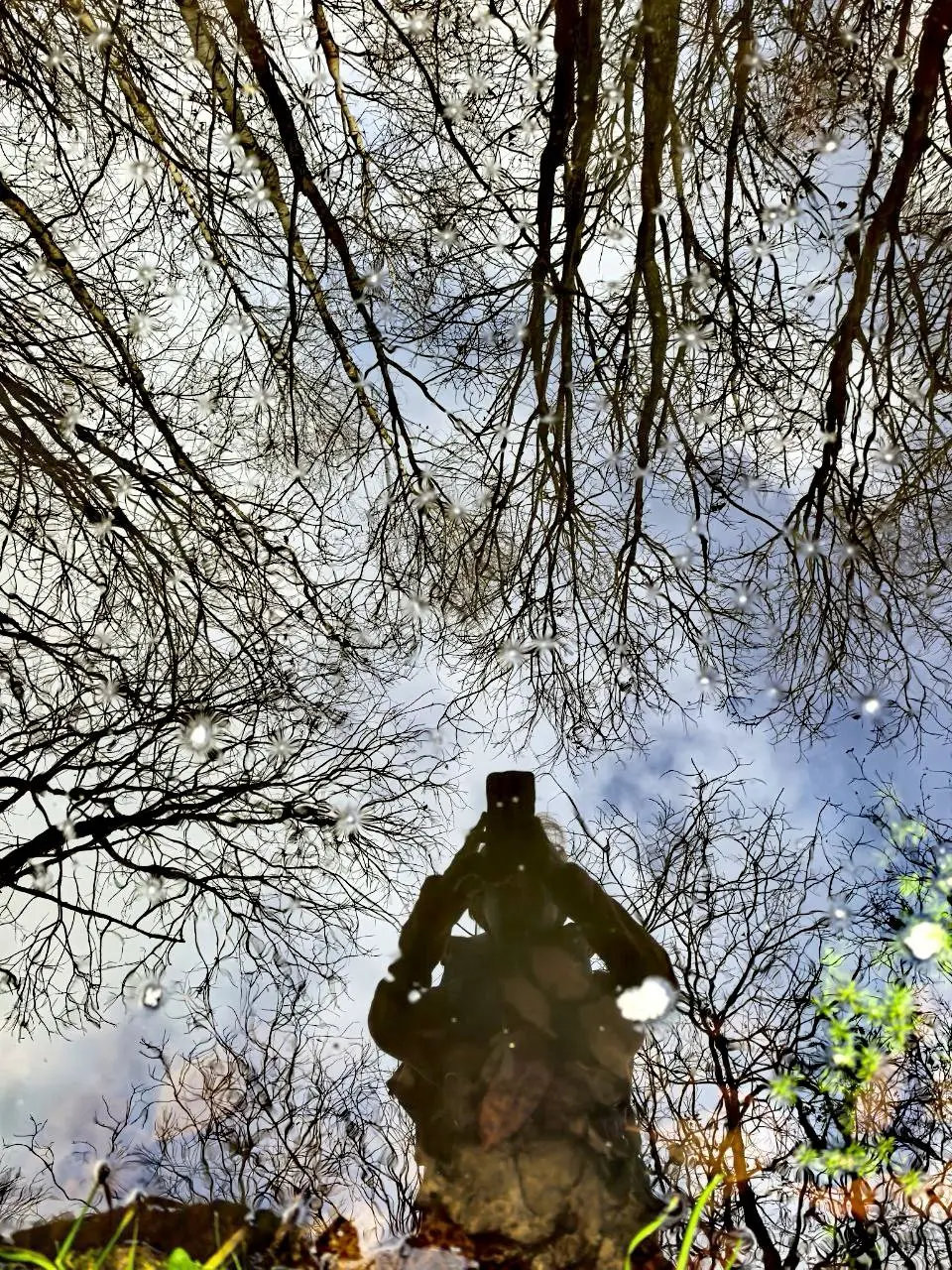 СЫРНОЙ ПОХОД