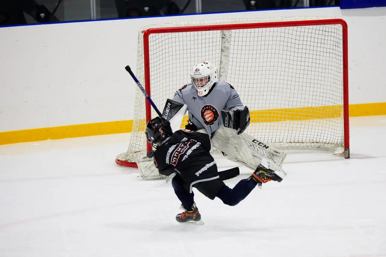 Спортивный ледовый комплекс Шуваловский лед