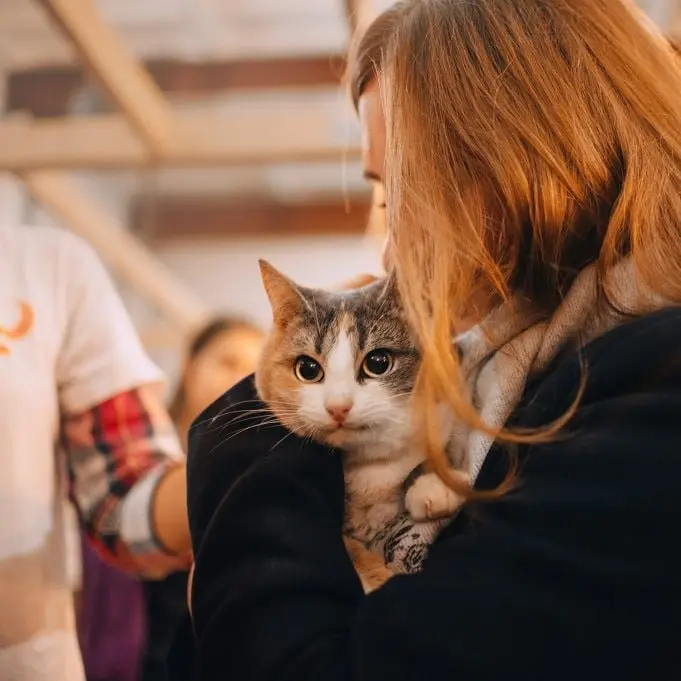 Woof фестиваль в Самаре