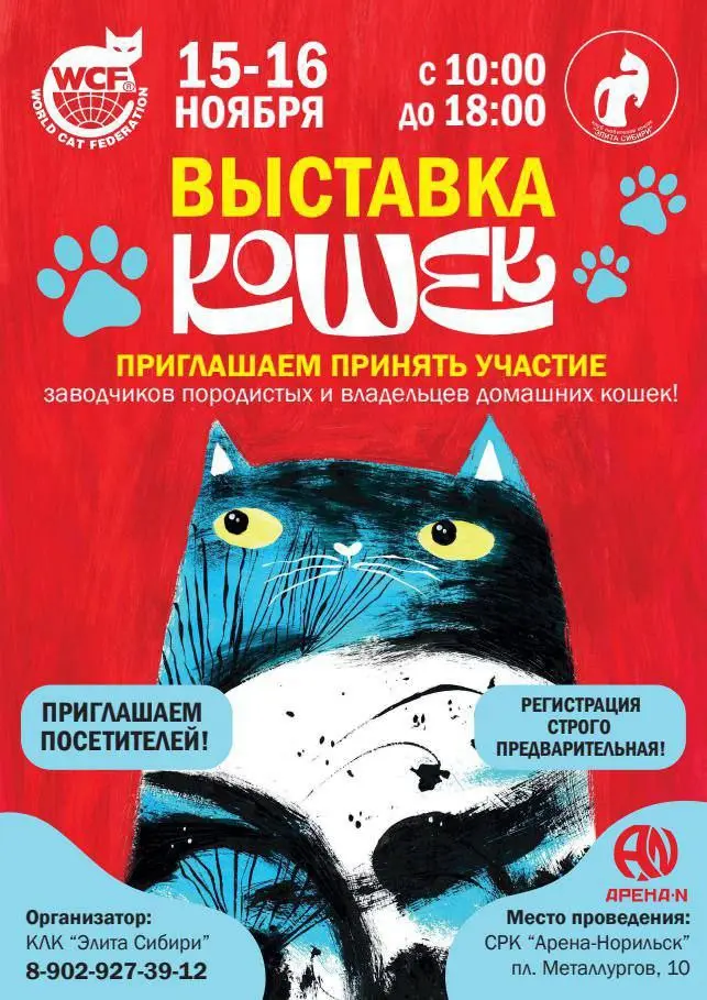 Выставка кошек
