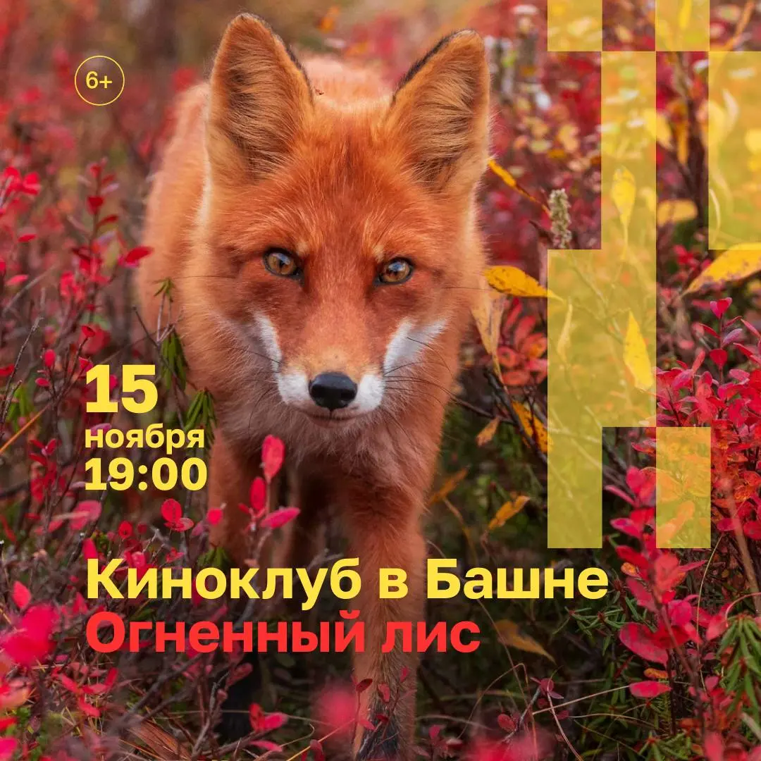 Киноманы? Всем в Башне: показ документального фильма «Огненный лис»